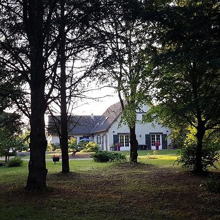 Le Clos Des Ecureuils Vouzon Dış mekan fotoğraf
