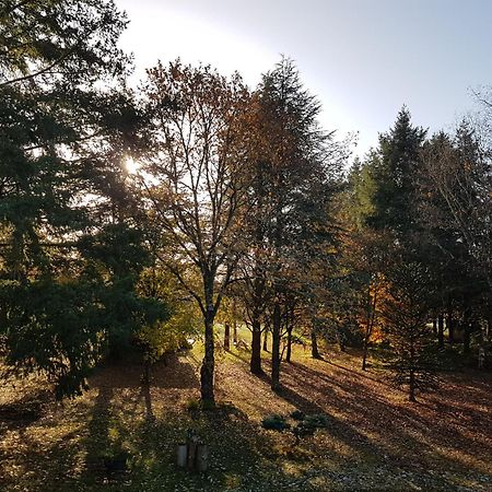 Le Clos Des Ecureuils Vouzon Dış mekan fotoğraf