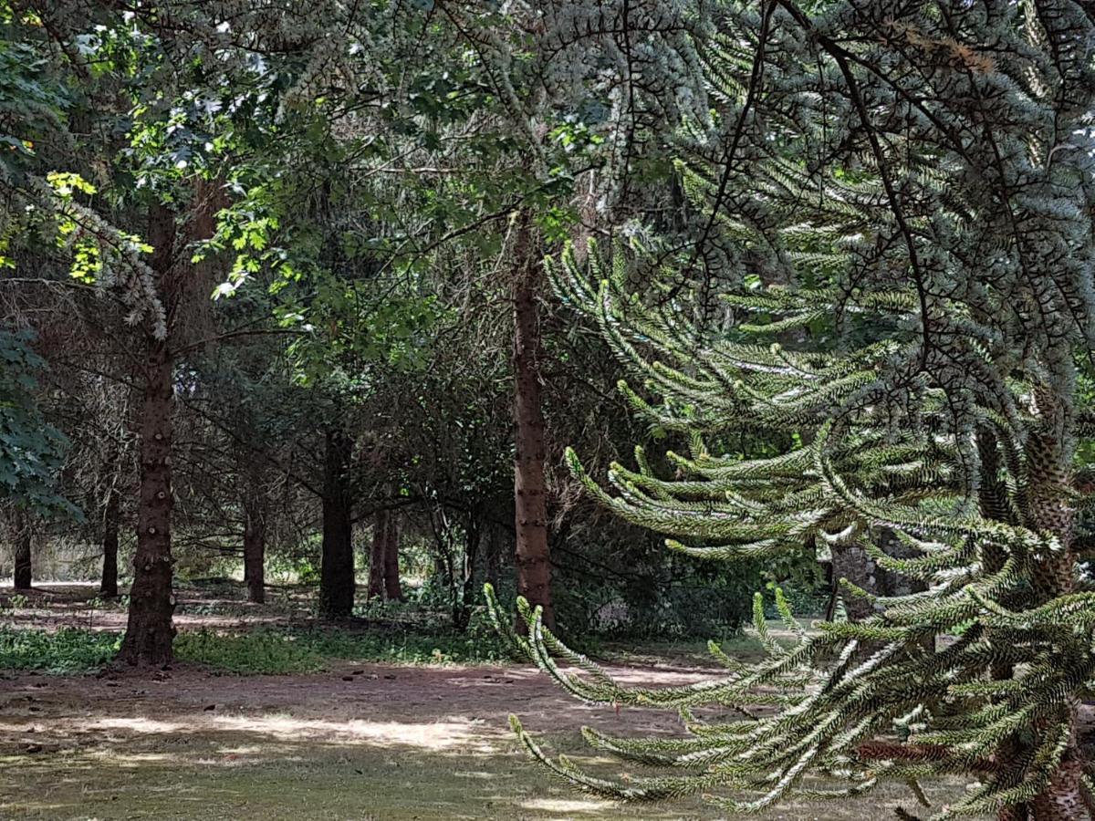 Le Clos Des Ecureuils Vouzon Dış mekan fotoğraf