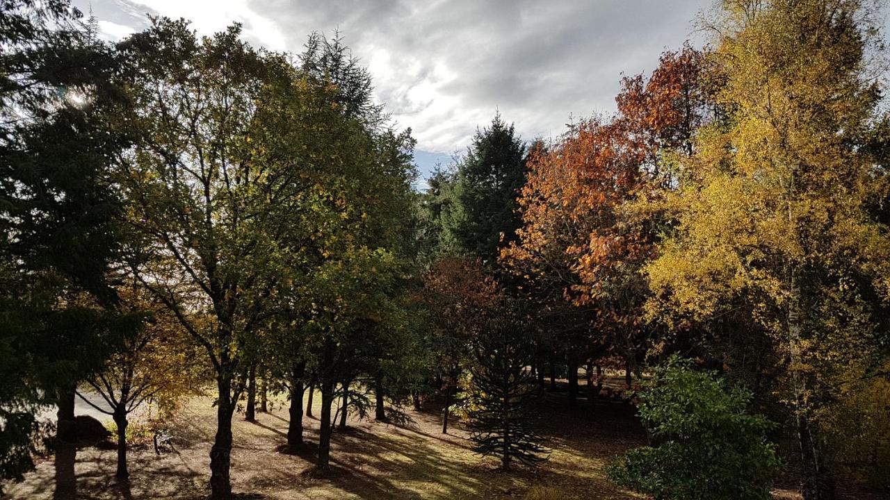 Le Clos Des Ecureuils Vouzon Dış mekan fotoğraf