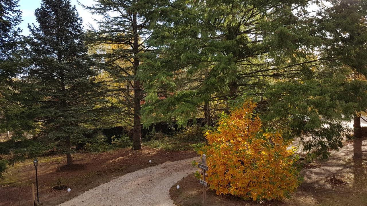 Le Clos Des Ecureuils Vouzon Dış mekan fotoğraf