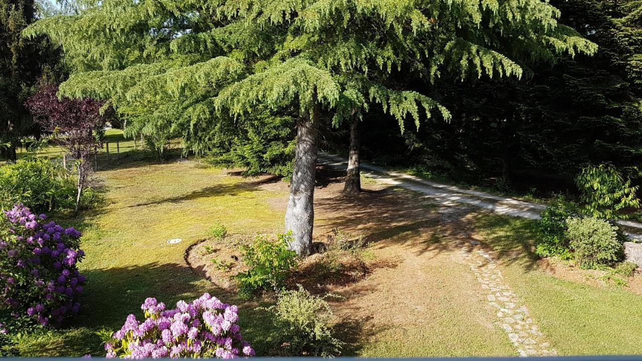 Le Clos Des Ecureuils Vouzon Dış mekan fotoğraf