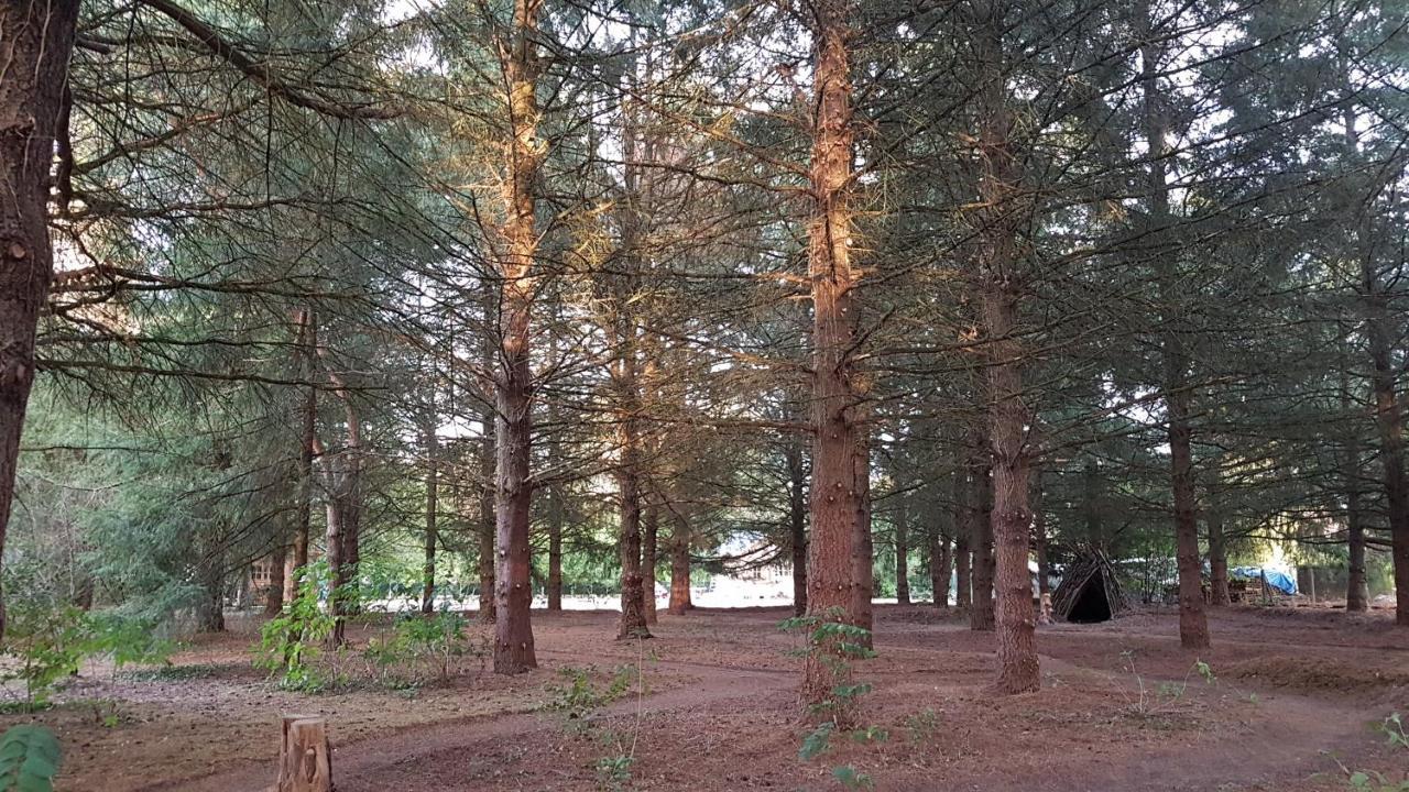Le Clos Des Ecureuils Vouzon Dış mekan fotoğraf