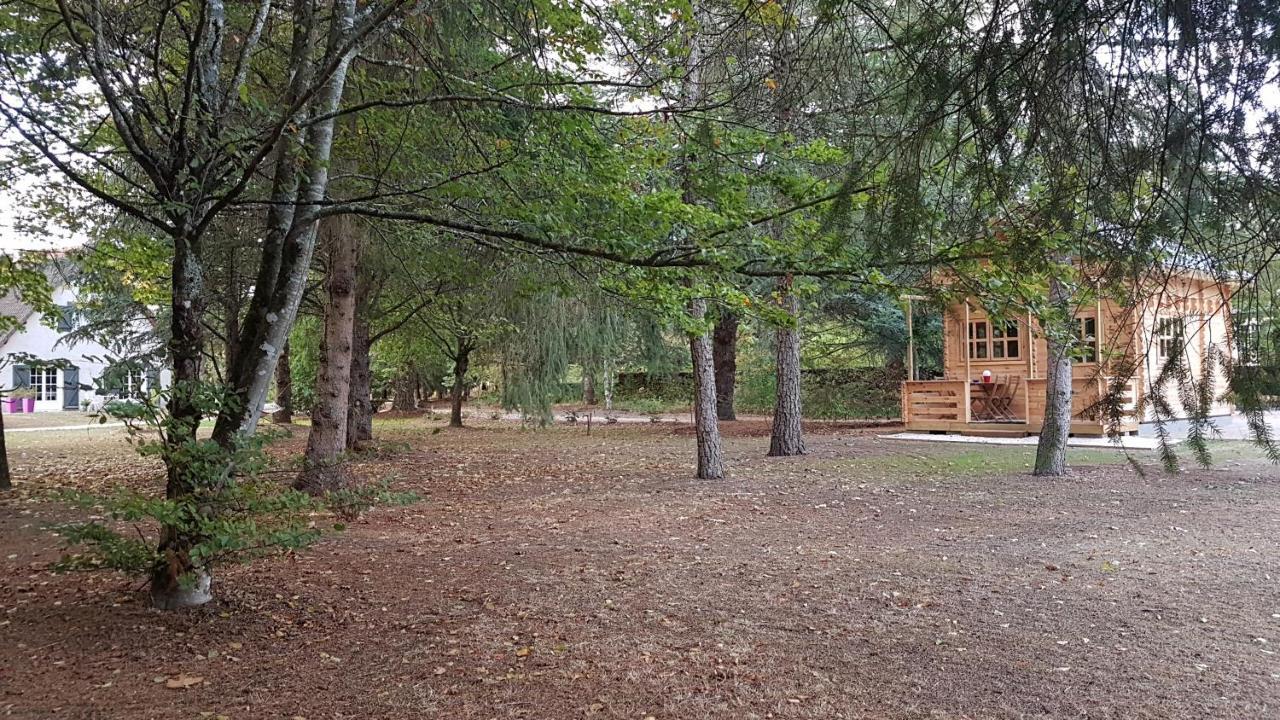 Le Clos Des Ecureuils Vouzon Dış mekan fotoğraf