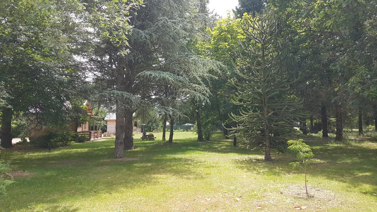 Le Clos Des Ecureuils Vouzon Dış mekan fotoğraf