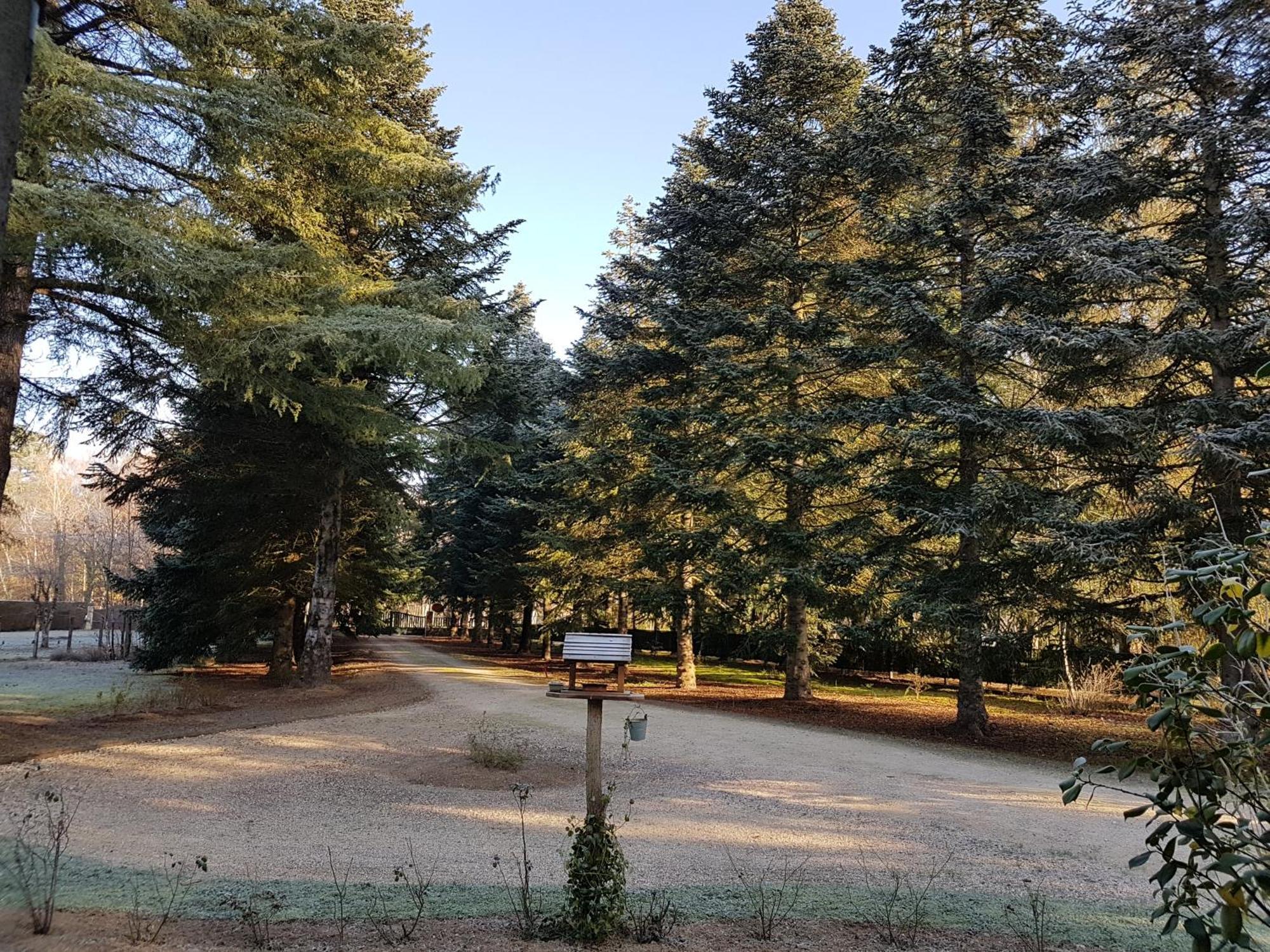 Le Clos Des Ecureuils Vouzon Dış mekan fotoğraf
