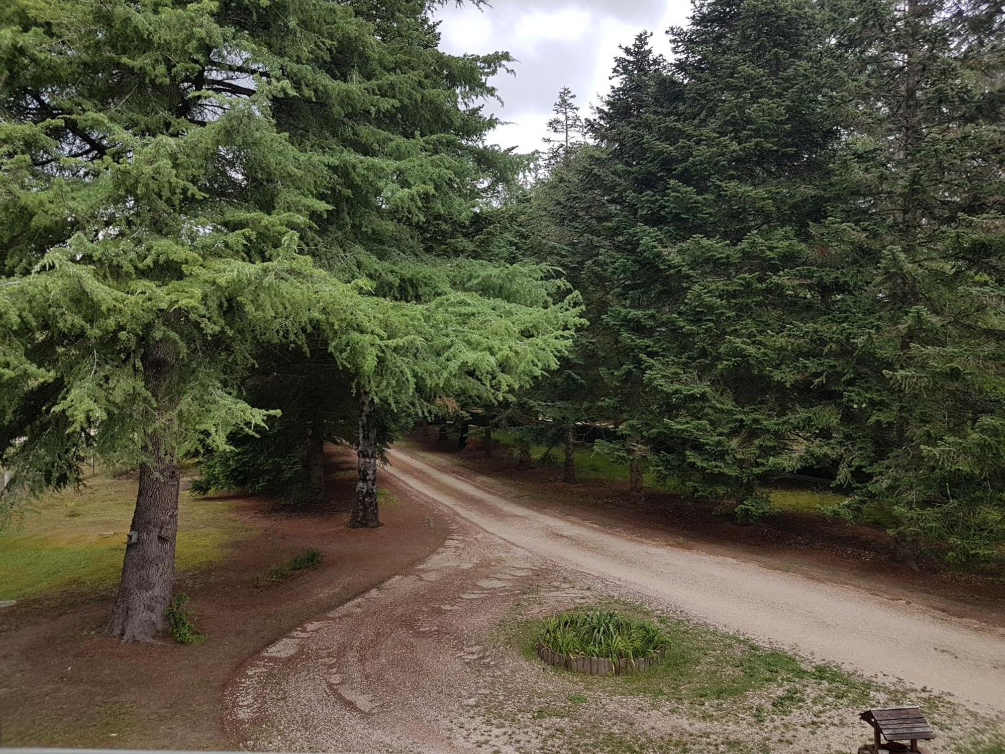 Le Clos Des Ecureuils Vouzon Dış mekan fotoğraf