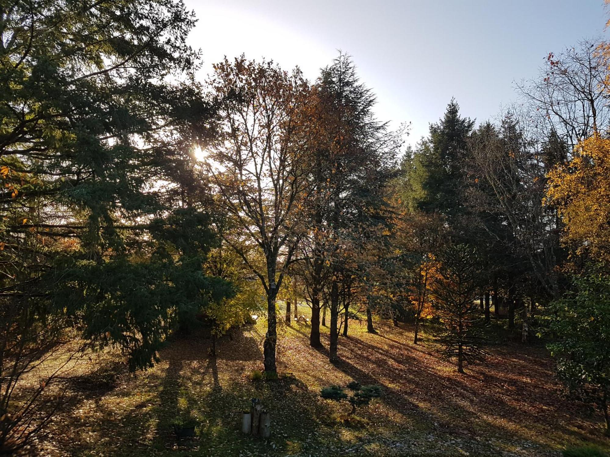 Le Clos Des Ecureuils Vouzon Dış mekan fotoğraf