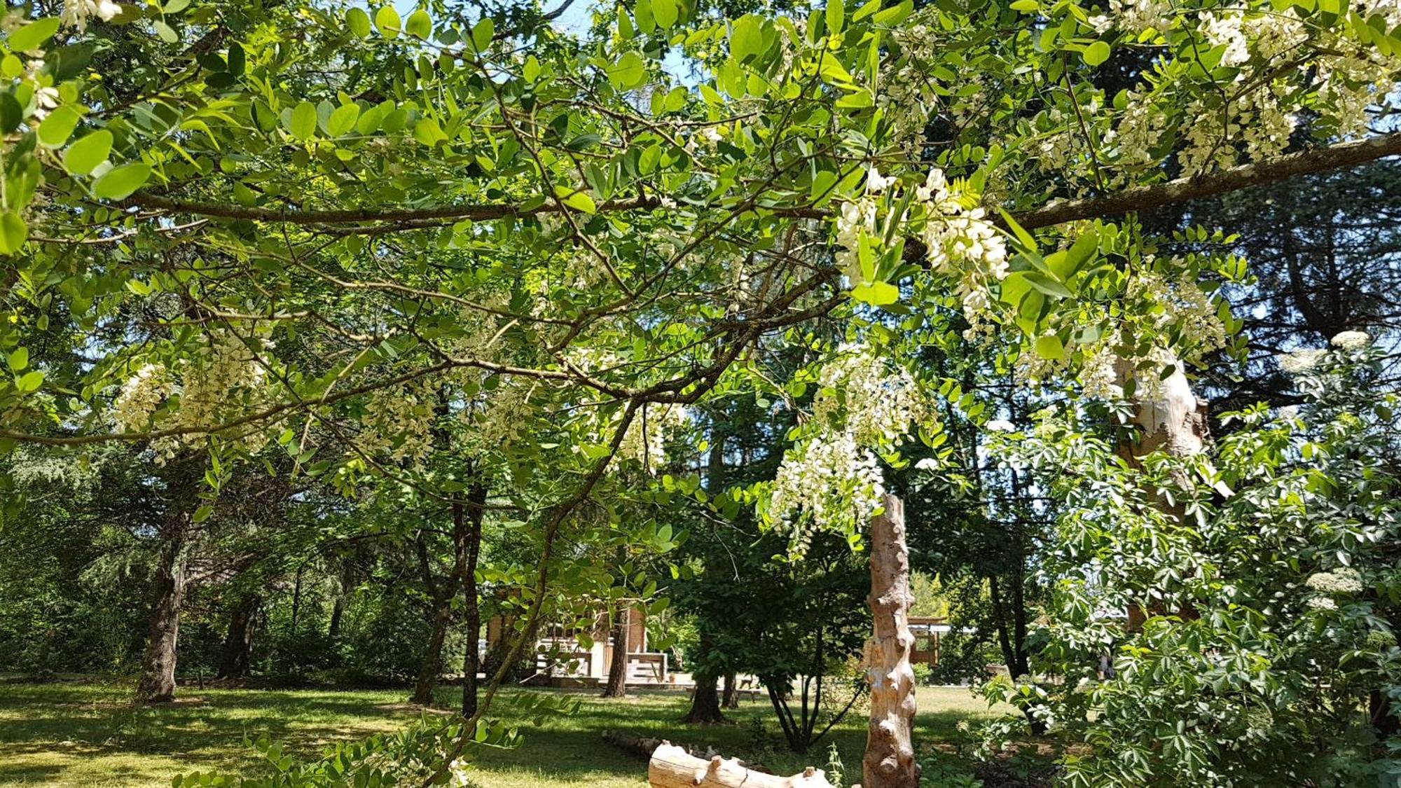 Le Clos Des Ecureuils Vouzon Dış mekan fotoğraf